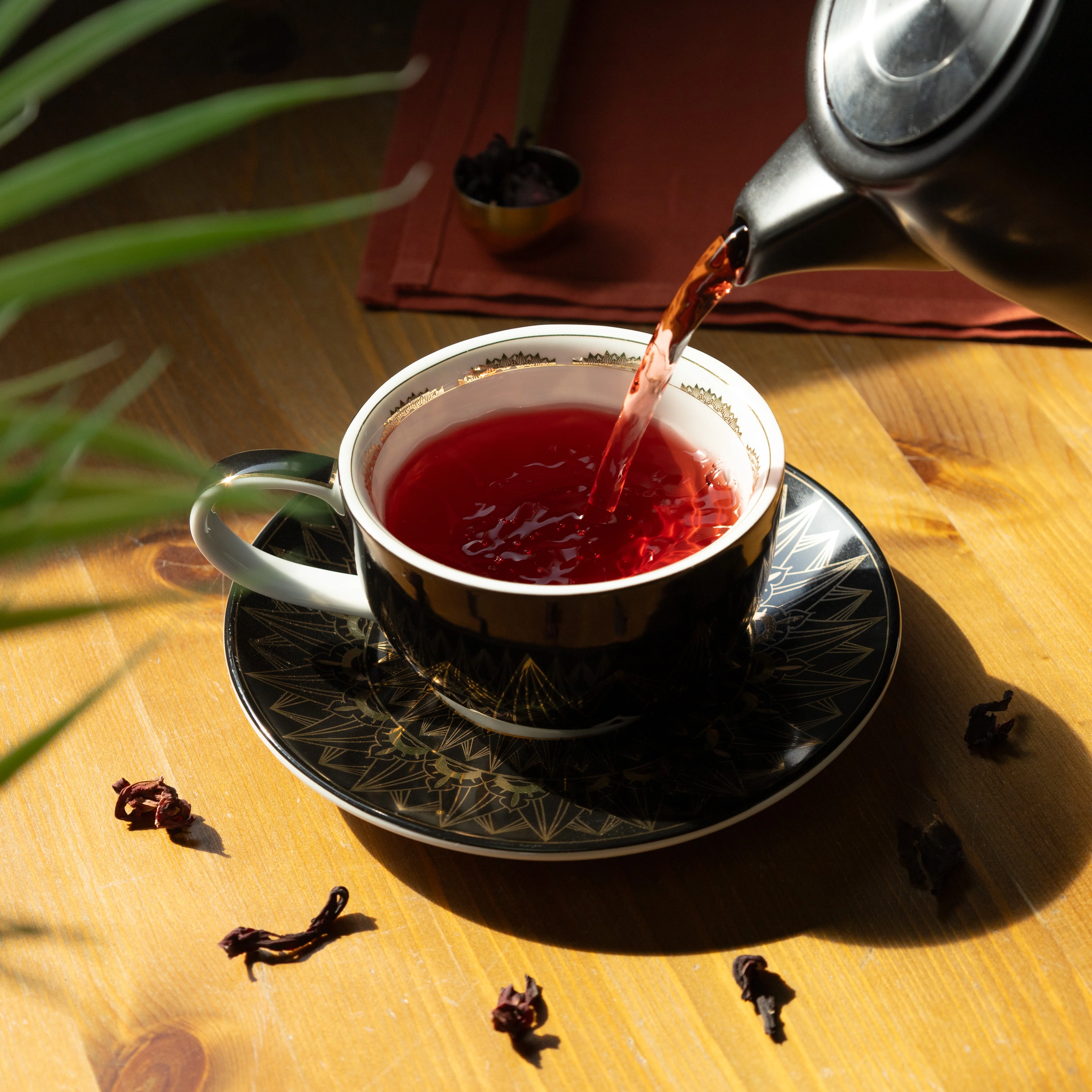 Hibiscus - Image 2